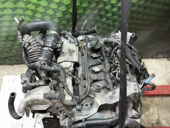 Двигатель Nissan Pathfinder YD25DDTI 10988