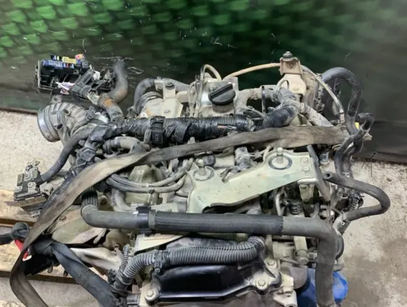 Двигатель Nissan Pathfinder YD25DDTI 11843