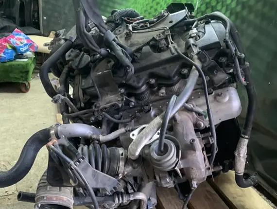 Двигатель Nissan Pathfinder YD25DDTI 11842