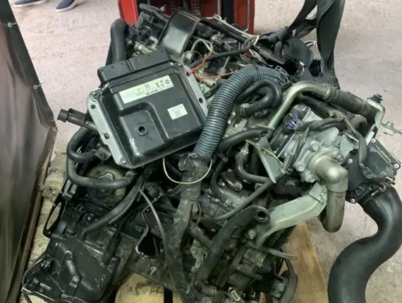 Двигатель Nissan Pathfinder YD25DDTI 11842